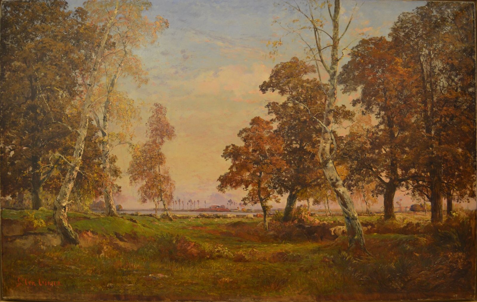 Vue aérienne des étangs de la Dombes, mosaïque de plans d'eau dans l'Ain