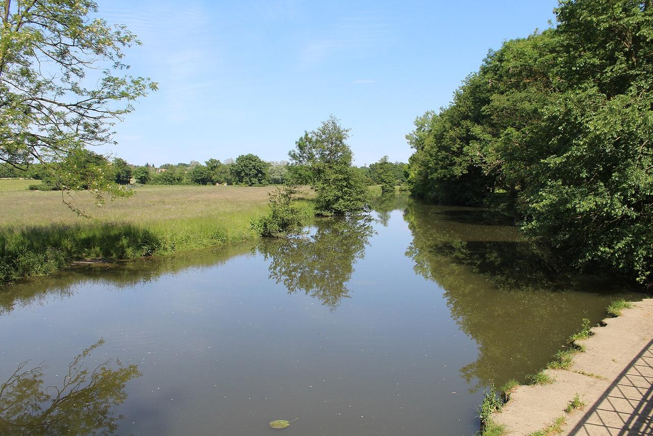 Une rivière calme bordée d'arbres et de prairies, reflétant le ciel bleu